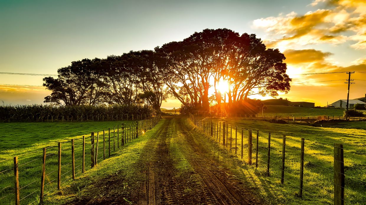 new zealand g1af6aeec9 1920 geaendert - ☀️ Photovoltaik für Lehrte